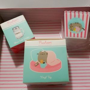 Pusheen Winter 2021 Sub Box